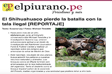 2022_EL PIURANO.PE_The Shihuahuaco loses the battle with illegal logging