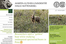 2021_MARTIN LUTHER UNIVERSITAT HALLE-WITTENBERG_Researchers spot a Golden Bear_Sweden