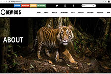 2021_NEW BIG 5_Photographers, Wildlife Ambassadors, Charities & Organizations_UK