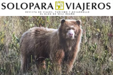 2017_ONLY FOR TRAVELERS_The Golden Bear of Corosha