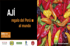 2018_ART IN BILLBOARDS: Corn, Cacao and Chili peppers