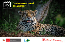 2018_MINISTRY OF THE ENVIRONMENT_International Day of the Jaguar