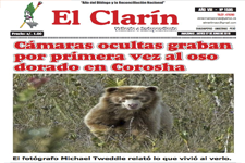 2018_EL CLARIN_Chachapoyas, Golden Bear in Corosha