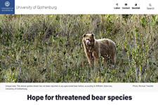 2021_UNIVERSITY OF GOTHENBURG_Hope for threatened Bear_Sweden