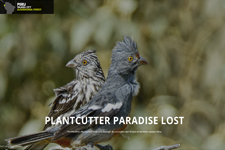 2017_LAND LIFE MAGAZINE, Netherlands_Plantcutter Paradise Lost