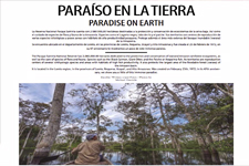 2019_PERUVIAN MAGAZINE_Pacaya-Samiria, Paradise on Earth