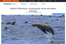 2018_OCEANA PERU_Palomino islets, the small kingdom of sea lions