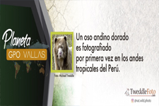 2019_VALLAS GPO PLANETA_Space in the city in favor of the Environment