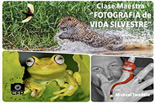 2018_PERU PHOTOGRAPHY CLUB_Wildlife Photography, Master Class