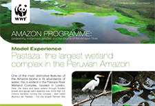 2007_WWF AMAZON PROGRAMME_Pastaza, Complex Wetland