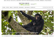 2018_MONGABAY LATAM_Primate re-introduction program in Peru