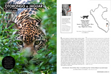 2018_PERUVIAN MAGAZINE #16_Endangered Wildlife, Jaguar