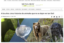 2018_MONGABAY LATAM_Animals that can not be seen so easily